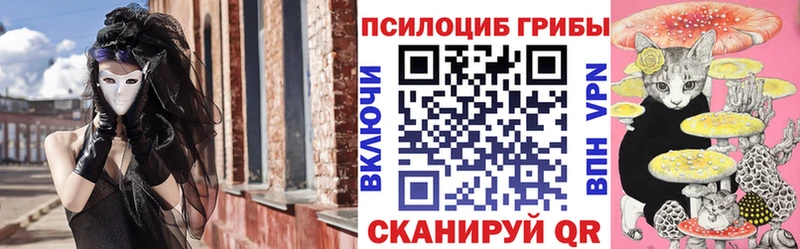 Галлюциногенные грибы Psilocybine cubensis Белая Холуница